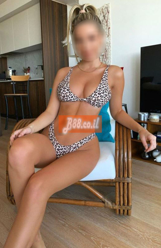 הבנה, מחפש חסות הבנה, מחפש חסות