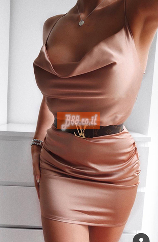 מיניאטורי, מספק vip שירותי ליווי